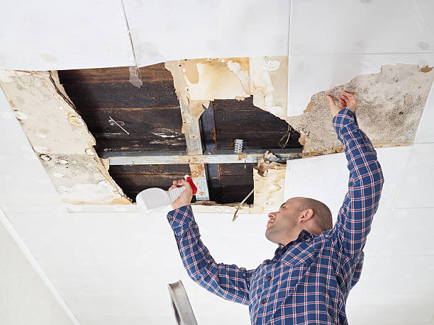 Mold Documentation for Insurance Claims